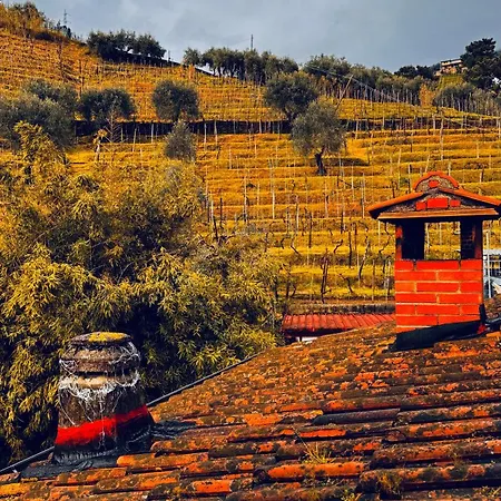 Casa Odry *
