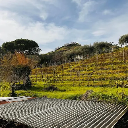 Casa Odry Apartment Massa (Tuscany)