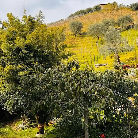 Casa Odry * Massa (Tuscany)