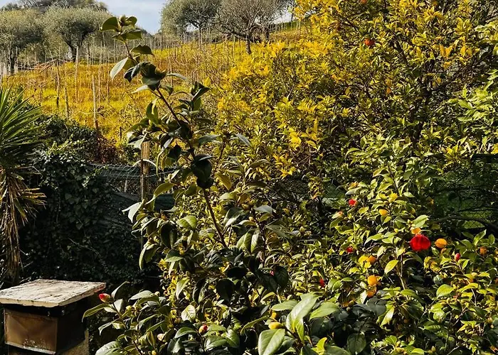 Casa Odry Διαμέρισμα